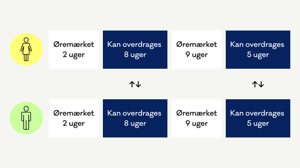 Viser din ret til barselspenge